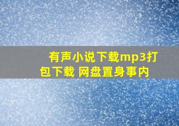 有声小说下载mp3打包下载 网盘置身事内